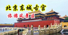 大鸡巴超坏美女在现观看中国北京-东城古宫旅游风景区